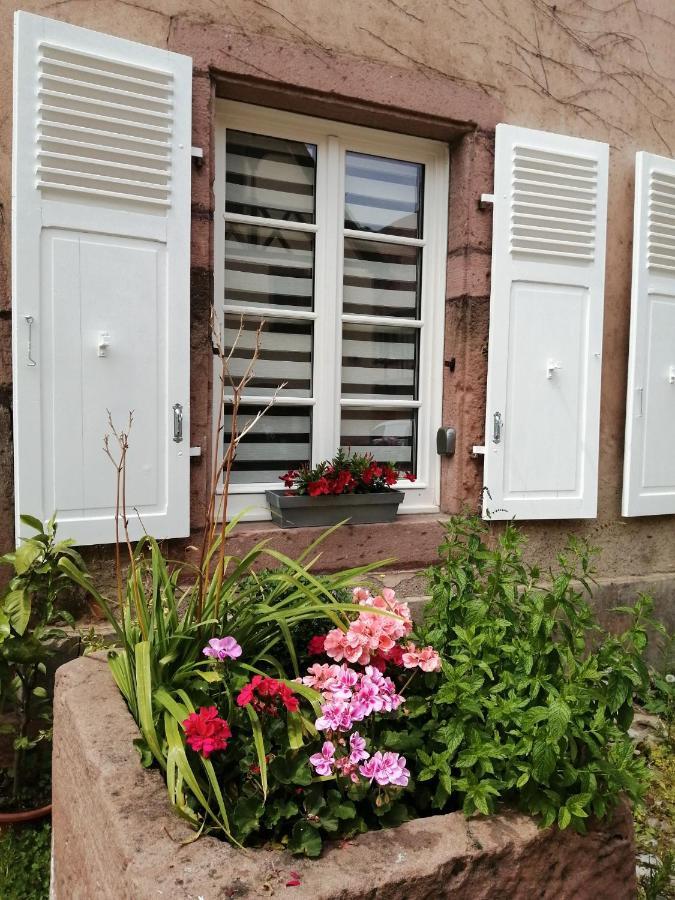 Gite Le Patio Kaysersberg-Vignoble Dış mekan fotoğraf